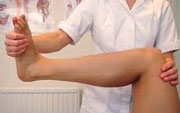 Leg assessment